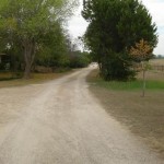 Dirty road on the Mithril Standard Poodle propert