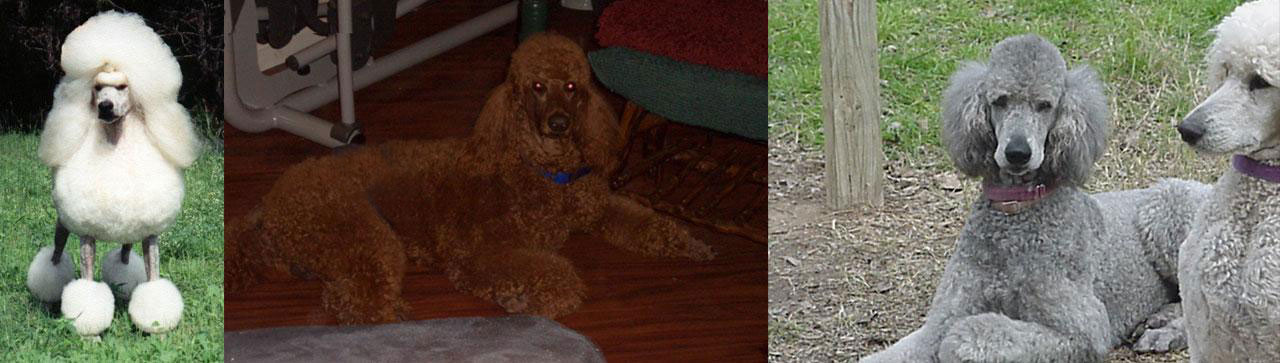 mithril_front_splash